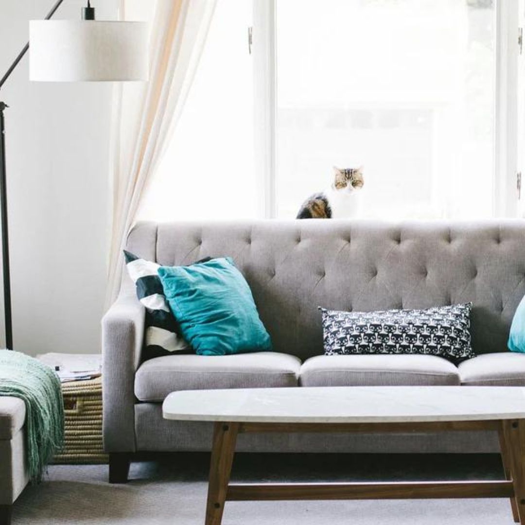 Recommendation of comfortable and fashionable sofas: single sofa, fabric sofa and folding sofa bed