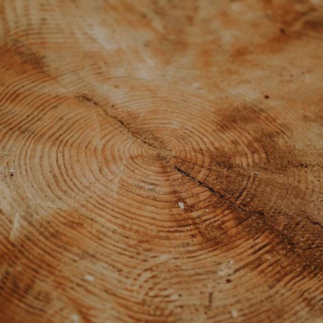 The environmental significance of solid wood furniture