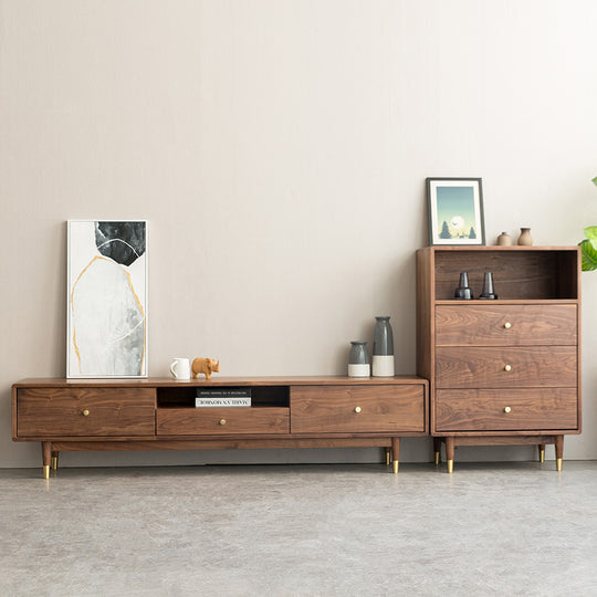 電視櫃 餐邊櫃 客廳擺設